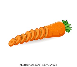 Sliced Carrot vegetable vector illustration isolated on white background