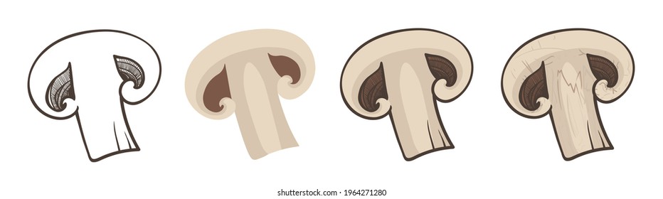 Sliced champignon, four variants of vector illustration. Linear and color sketches. Isolated mushrooms on a white background. EPS 10. Vegan food.