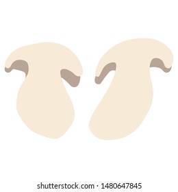 Sliced champignon isolated on white background. Flat cartoon style. Vector illustration. 