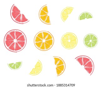Sliced citrus fruits background with lemon, lime, orange and grapefruit