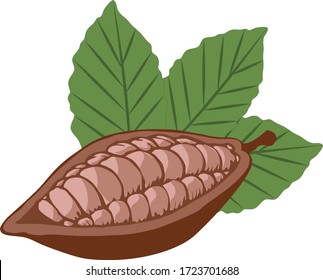 Cacao en rodajas con hojas