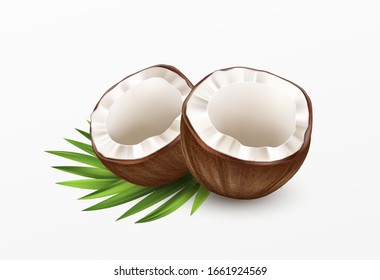 Sliced Coconut Isolated on White Background. Realistic vector illustration EPS10