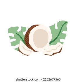 Cocoteros secos y hojas tropicales. Ilustración vectorial en el fondo aislado.