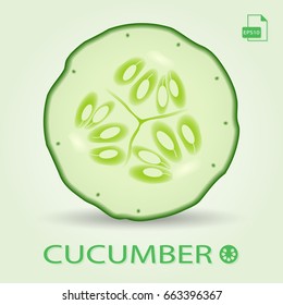 Sliced cucumber isolated. Vector illustration