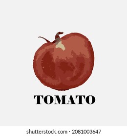 Eine geschnittene ​ ​ Tomate. gezeichnete Tomatengrafik. Vektor.