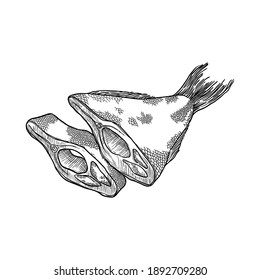 Sliced dried fish isolated on white background. Hand drawn vector illustration.
