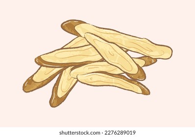 Sliced dried licorice plant in simple ingredient illustration