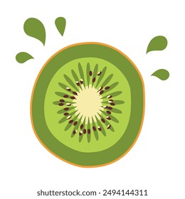 Sliced Fresh Kiwi Fruit Healthy Nutrition Vector Illustration