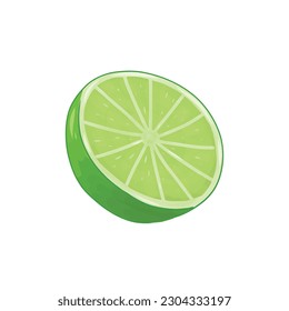 Sliced Fresh Lime Vector Illustration