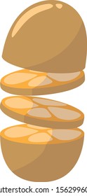 Fruto en rodajas, ilustración, vector sobre fondo blanco.