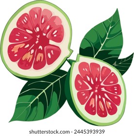 una fruta y una hoja en rodajas. hoja verde y fruta. fruta aislada con hoja. fruta con Vector de hoja.