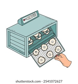 Sliced fruits in food dryer machine, electric food dehydrator. Monitoring of drying progress, trays rotation. Canning and culinary, healthy diet concept. Hand drawn doodle style vector illustration.