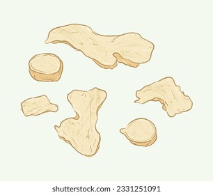 Sliced ginger root in ingredients illustration