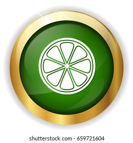 sliced grapefruit icon