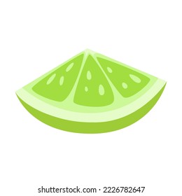 Sliced green citrus vector illustration. Summer, fruit concept. Halved lime cartoon illustration