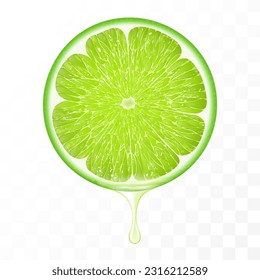 Sliced of green lime with juice dripping isolated on transparent background. Fresh slice of lime with essential oil dripping. Juicy fruit. Fresh citrus design. Realistic 3d vector