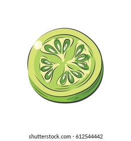 Sliced green Tomato vector drawing watercolor