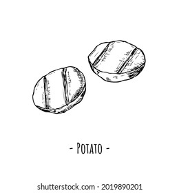 Patatas cortadas y asadas. Ilustración vectorial. Objetos aislados en blanco. Estilo dibujado a mano.