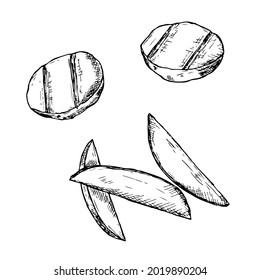 Sliced and grilled potatoes. Vector illustration. Isolated objects on white. Hand-drawn style.