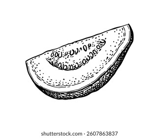 Sliced guava.  Ink sketch isolated on white background. Hand drawn vector illustration. Retro style.