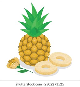 Sliced and half of Pineapple(Ananas comosus) on white background. Sweet, sour and juicy taste. Have a lot of fiber, vitamins C and minerals. Fruits or healthcare. pineapple juicy yellow fruit