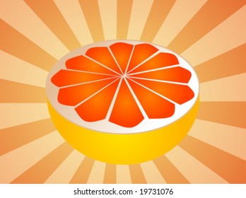 Sliced half pink grapefruit fresh fruit illustration fresh