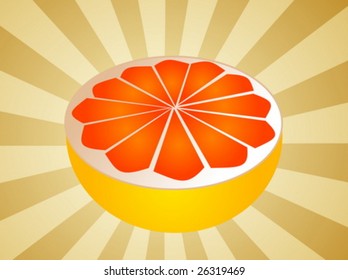Sliced half pink grapefruit fresh fruit illustration fresh