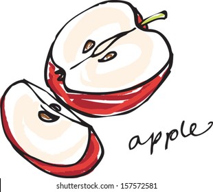 Sliced & halved red apple illustration vector