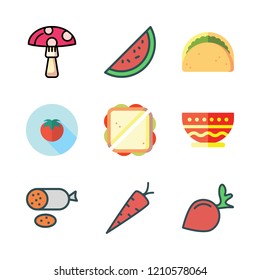 sliced icon set. vector set about taco, sandwich, tomatoes and radish icons set.