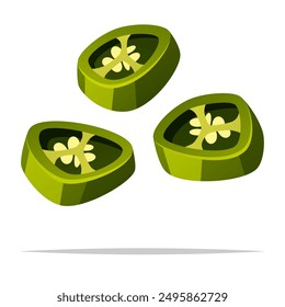 Sliced jalapeno pepper vector isolated illustration