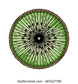 Sliced kiwi fruit