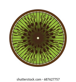 Sliced kiwi fruit
