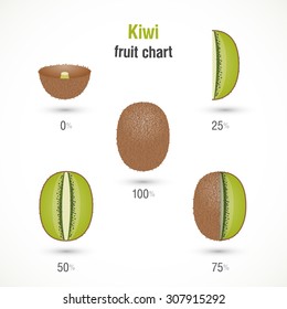 Sliced kiwi fruit chart vector illustration.