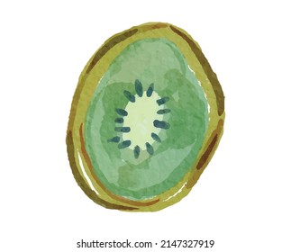 Sliced of Kiwi Watercolor Illustration