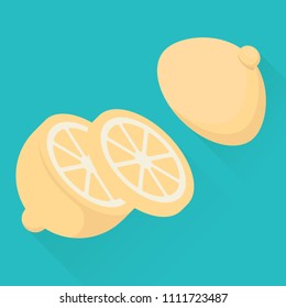 sliced lemon, citrus