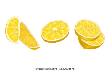 Sliced Lemon Citrus Fruit Isolated on White Background Vector Set