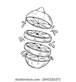 Sliced lemon with juice splashes. Stylized citrus fruit cut into floating segments. Perfect for juice packaging design, organic product labels, menus, coloring books, and kitchen wall art. 