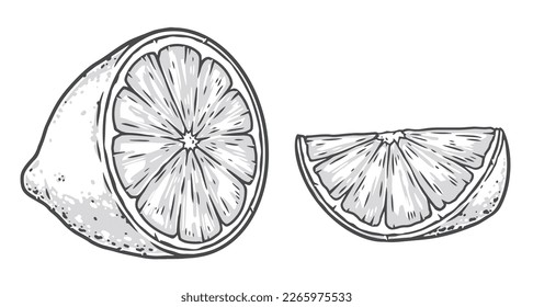 Sliced lemon monochrome set logotype with fresh fruit cut in half for decorating farm food shop window vector illustration