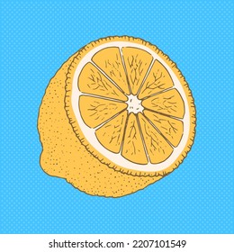 Sliced lemon on a blue background. Delicious citrus fruit is an ingredient for dishes. Vector illustration hand drawn. Pop art style