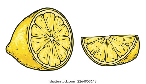 Sliced lemon set colorful sticker with half tart citrus fruit to add to tea or garnish vector illustration