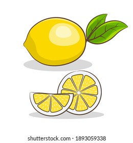 Sliced lemon.Parts of citrus fruit with shadow.Vector illustration for packaging, emblems, labels, wrappers.Set of elements for design.Flat style.

