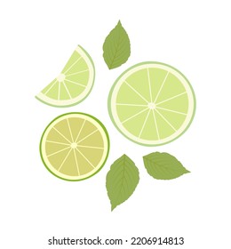 Limpieza cortada con hojas de menta.  Iconos de cítricos aislados en fondo blanco. Ilustración del vector