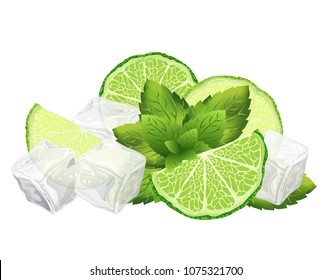 Sliced lime, mint leaves and ice cubes, vector illustration of ingredients for mojito cocktail.