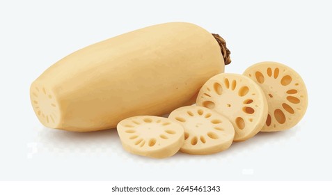 Sliced Lotus Root Showing Detailed Circular Patterns, Isolated on Transparent Background