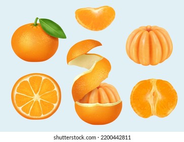 Sliced mandarin. Orange pieces healthy product peeled mandarin decent vector realistic templates