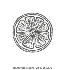 Sliced of mandarine. Graphics illustration of tangerine. Fruit for set for mulled wine or grog, and for Christmas compositions, New Year's decor, postcards and article about diet. Vitamin C. Vector