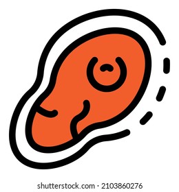 Sliced meat icon. Outline sliced meat vector icon color flat isolated