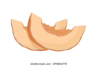 Sliced melon. Fruit illustration for farm market menu,  recipe, summer menu, invitations, posters, stickers and seasonal design. Healthy food design.