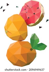 sliced orage fruit low poly vector art with white background