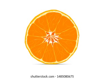 Sliced orange fruit vector illustration